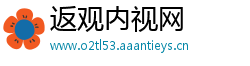 返观内视网